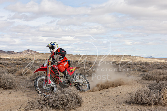 IMG_2184-101a