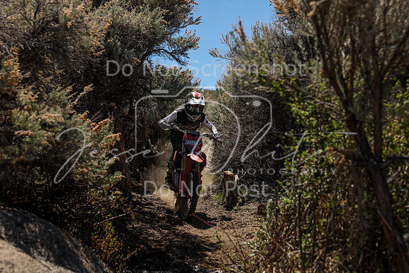 IMG_0296-319j