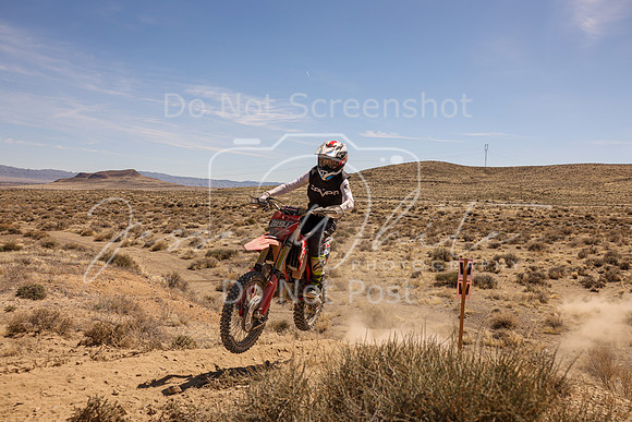 IMG_1392-319j