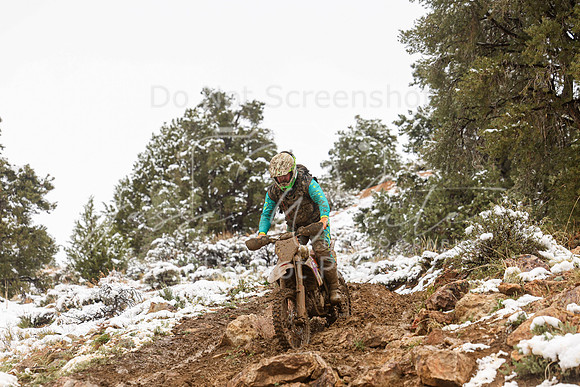 IMG_6386-