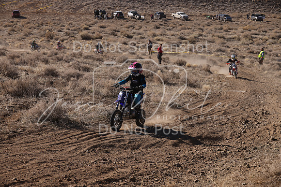 IMG_7768-47f