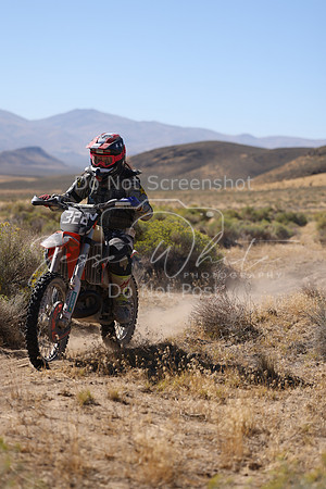 IMG_3548-322v