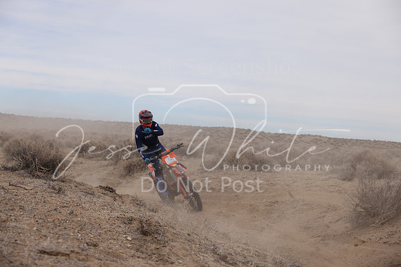 IMG_0823-5t