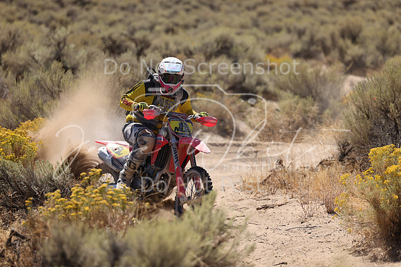 IMG_1750-n6v