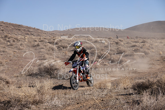 IMG_7349-888y