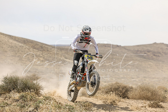 IMG_9255-14n