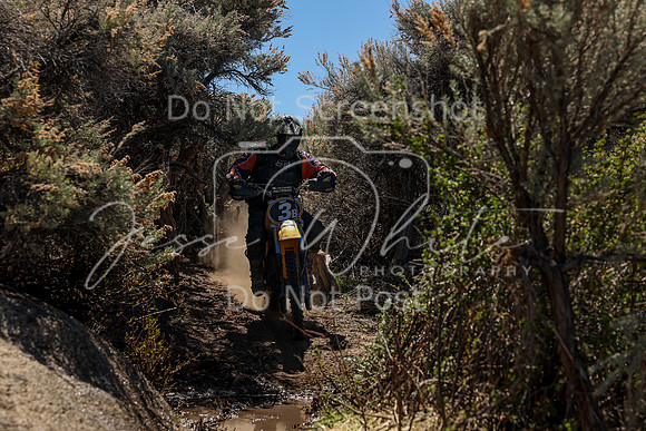 IMG_0336-3b