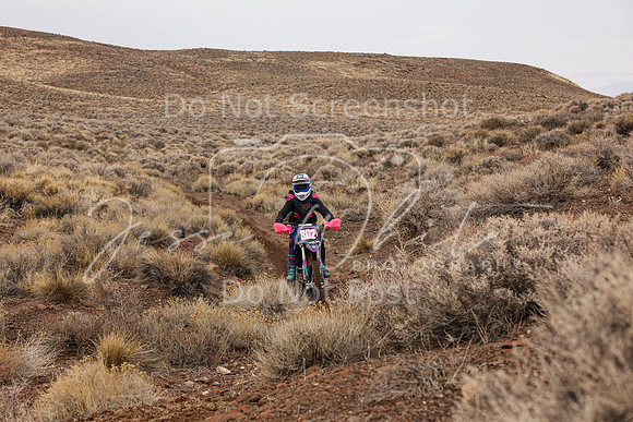 IMG_0630-802v