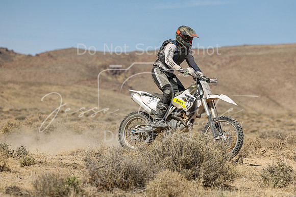 IMG_8257-100c
