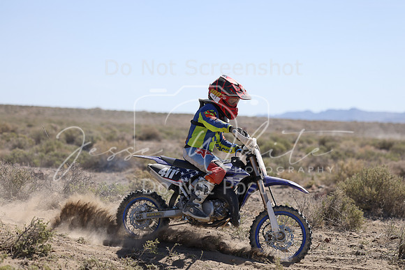 IMG_2490-411y