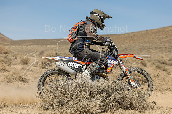 IMG_8342-808n