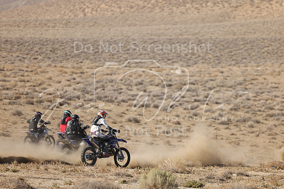 IMG_7683-312-13-9-510n