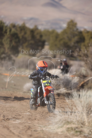 IMG_5376-n4e