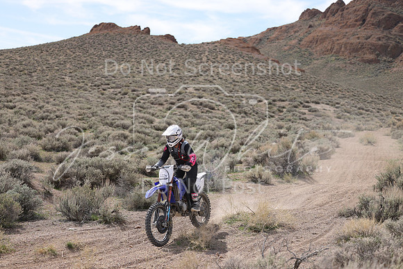 IMG_6743-222v