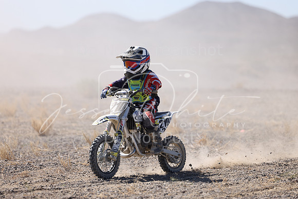 IMG_2174-210z