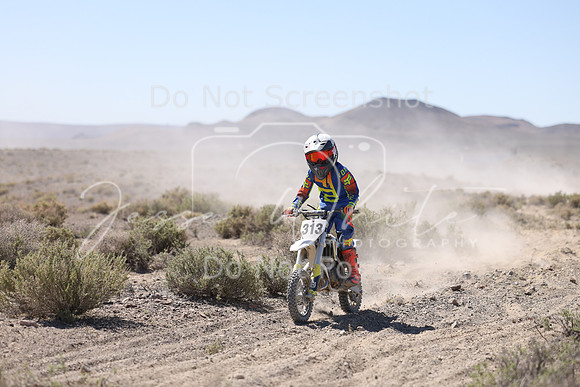 IMG_2366-313