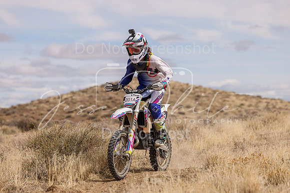 IMG_0178-201a