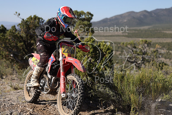 IMG_6686-224a