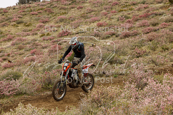 IMG_2389-35