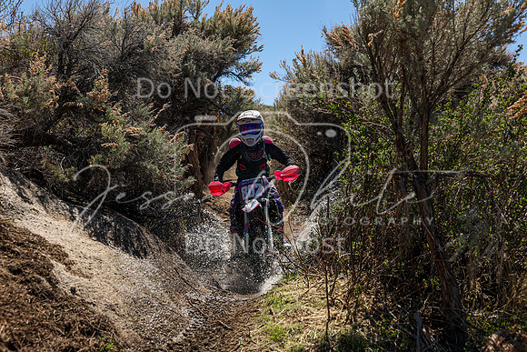 IMG_0558-802v