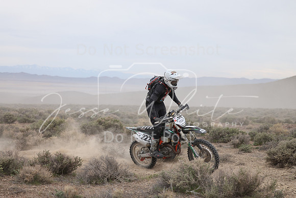 IMG_7505-55a