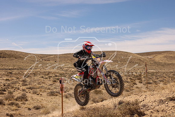IMG_0973-777v