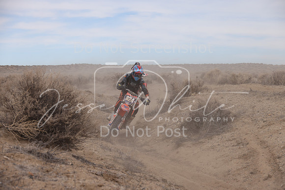 IMG_1311-824a