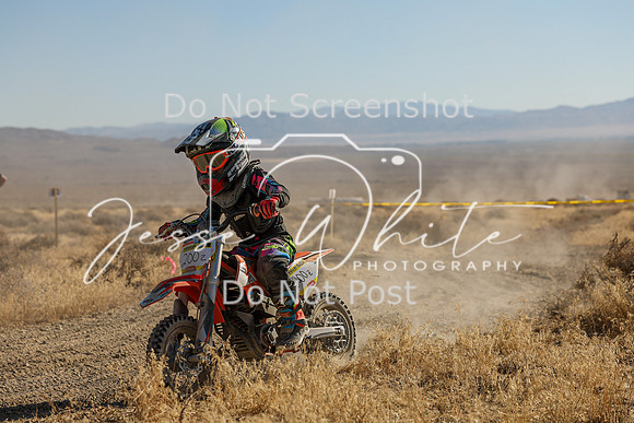 IMG_0217-200z