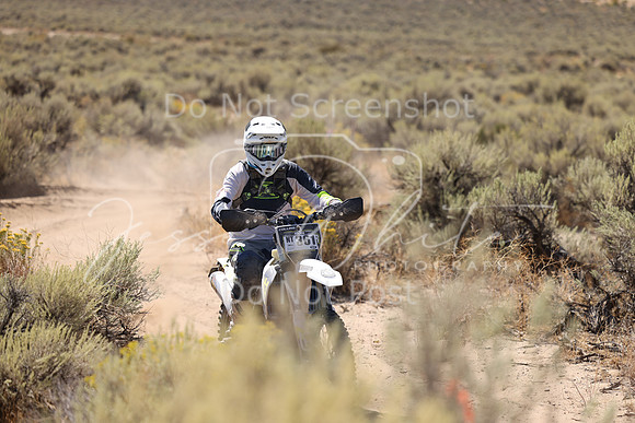 IMG_1517-nt361