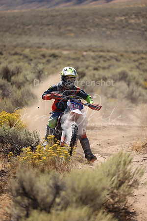 IMG_1315-nt141