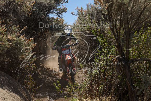 IMG_0223-58j