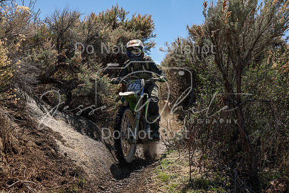 IMG_0510-478v