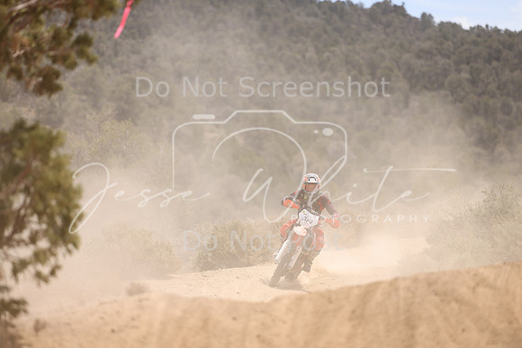 IMG_5004-314