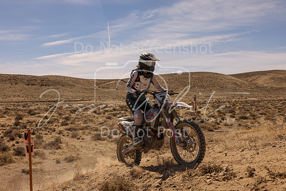 IMG_1553-79v