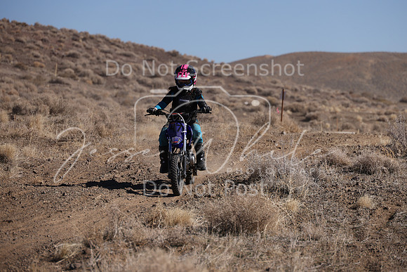IMG_7904-47y