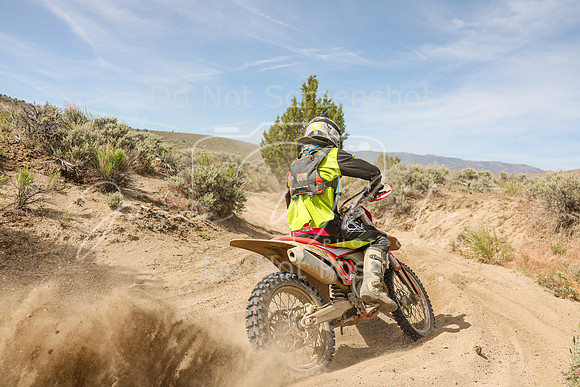 IMG_3004-223n