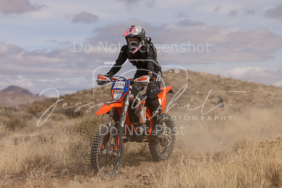 IMG_0429-111a
