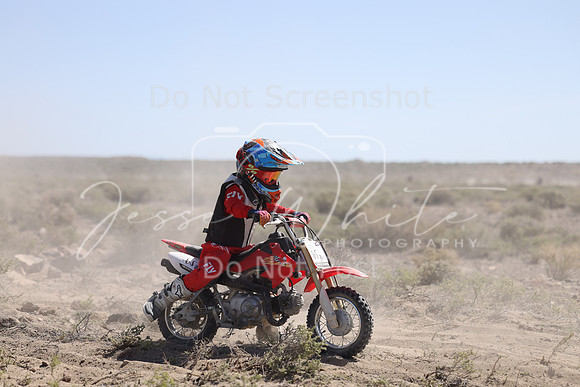 IMG_2501-65z