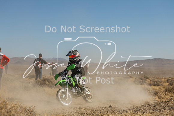 IMG_0041-33f