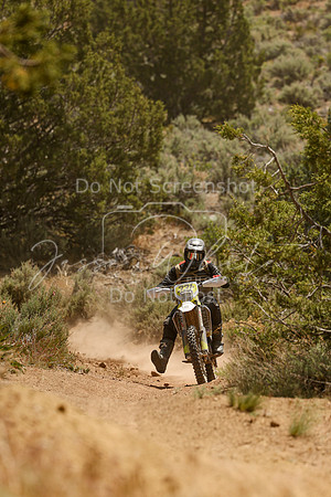 IMG_3396-331p
