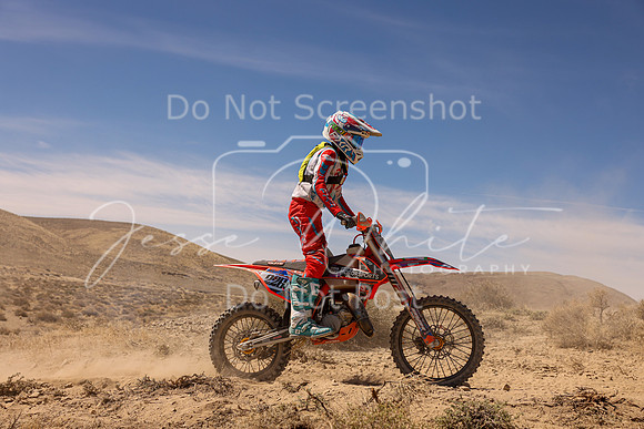 IMG_0983-226v