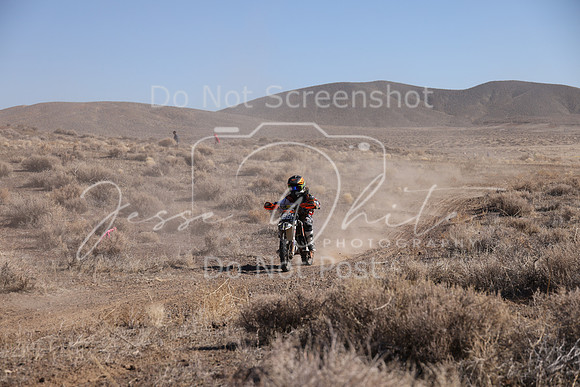 IMG_7351-981y