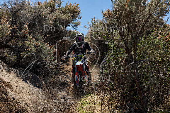 IMG_0453-989v