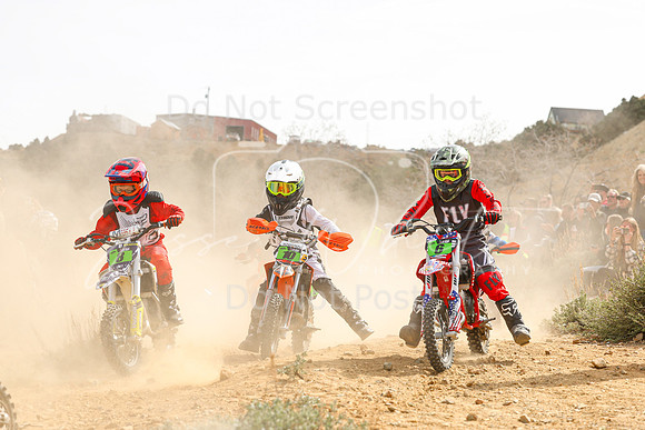 IMG_9913-8-10-6