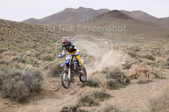 IMG_9667-63a
