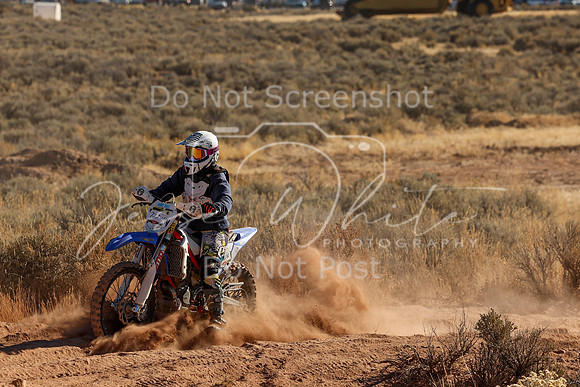IMG_6037-723w