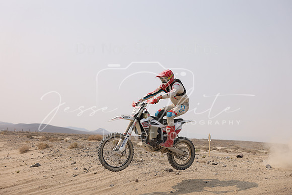 IMG_6274-3t