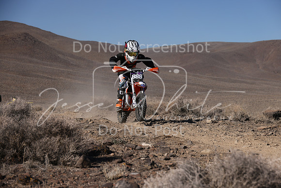IMG_7482-888y