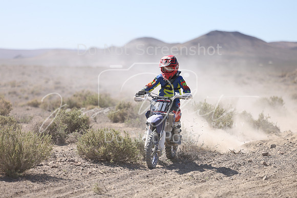 IMG_2345-411y