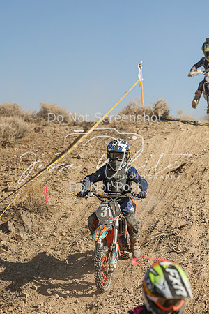 IMG_0404-31y